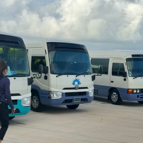Nassau Taxi Service (31)